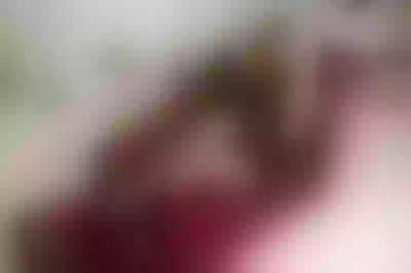 Live sex webcam photo for AmyraJo #7896807