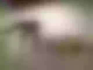 Live sex webcam photo for AmyraJo #6333160