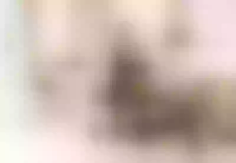 Live sex webcam photo for AmyraJo #7896787