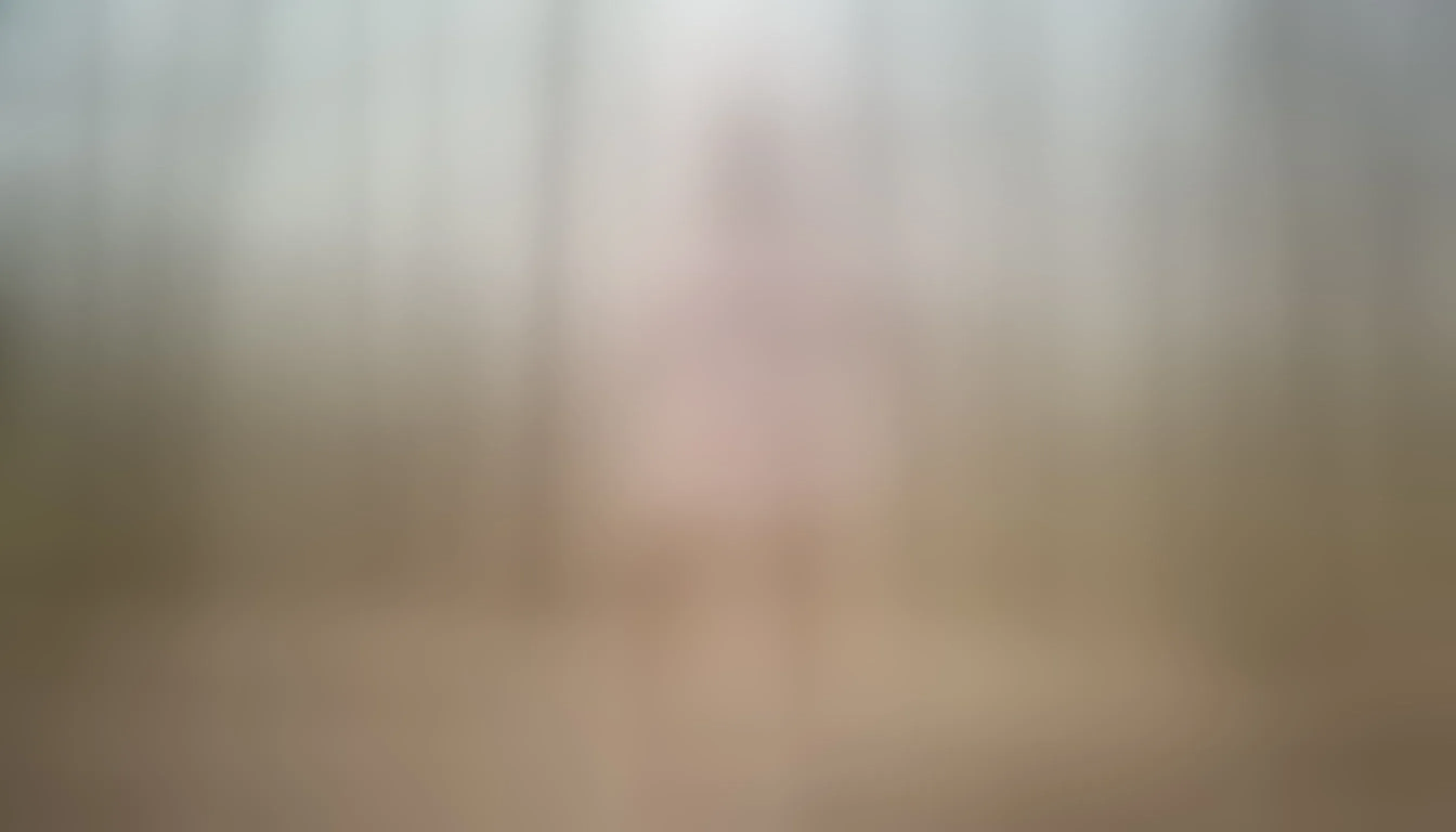 Live sex webcam photo for AmyraJo #8450955