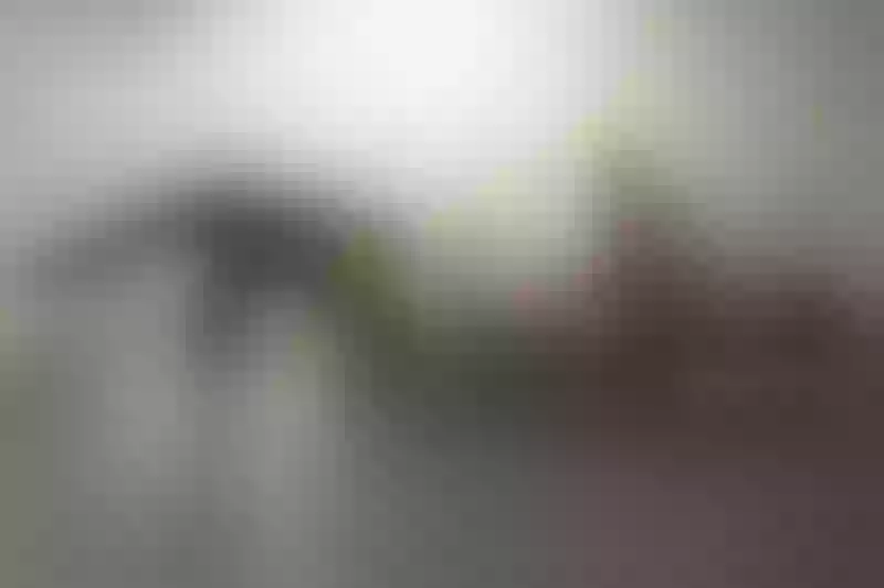 Live sex webcam photo for AmyraJo #7896795