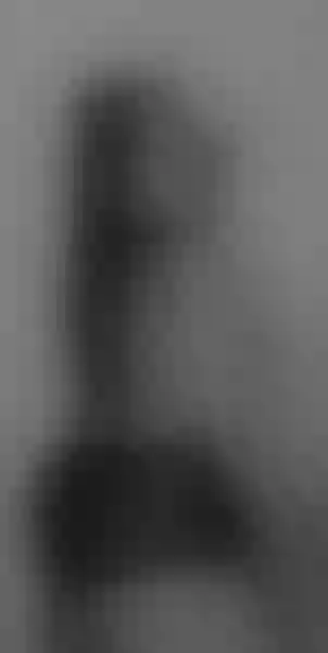 Live sex webcam photo for piscies_ass #3532799