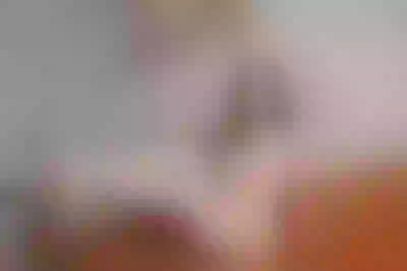 Live sex webcam photo for MadisonJae #2941183
