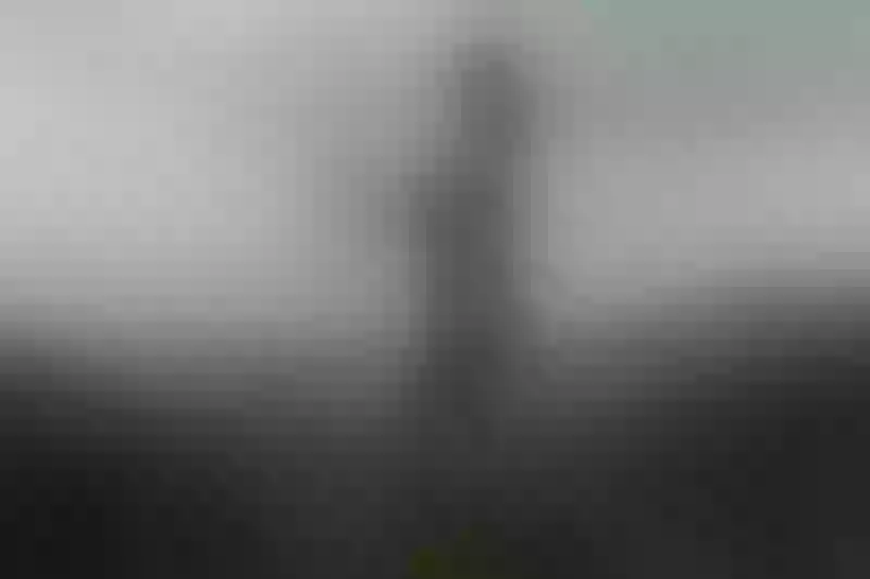 Live sex webcam photo for TamaraFoster #1734429