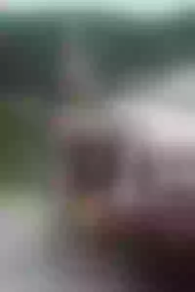 Live sex webcam photo for TamaraFoster #1734646