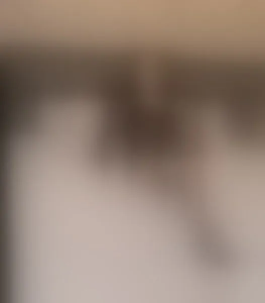 Live sex webcam photo for NatashaDivyne #7139853