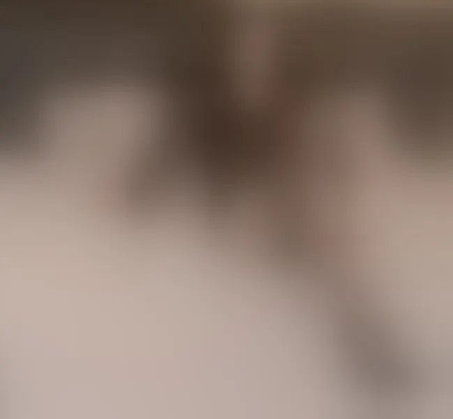 Live sex webcam photo for NatashaDivyne #7139851