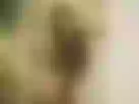 Live sex webcam photo for Dana_Coleman #3894472