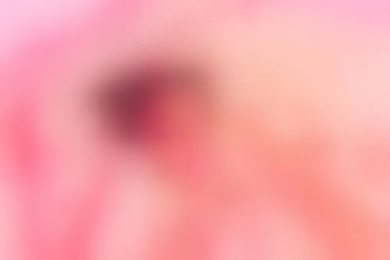 Live sex webcam photo for JessBrooks #1722371