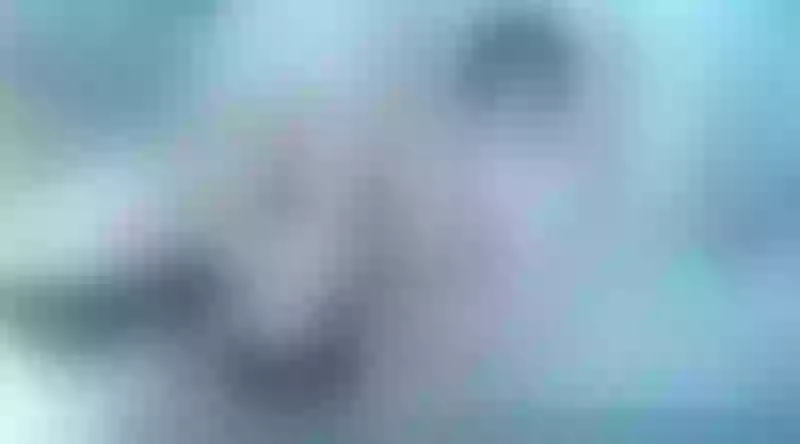 Live sex webcam photo for Claudine #7811970