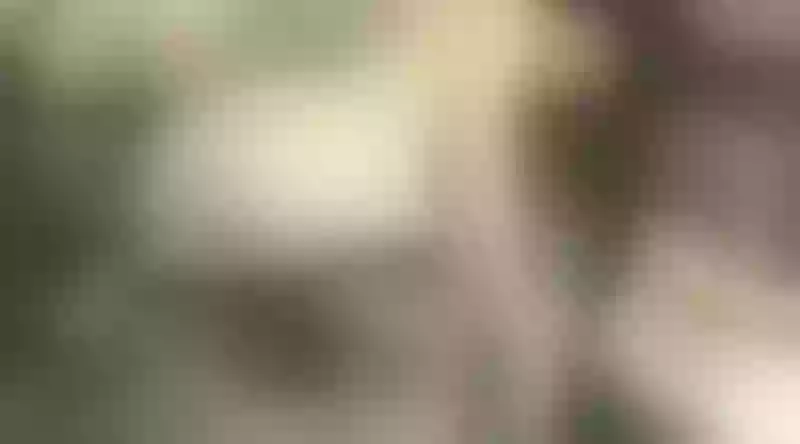 Live sex webcam photo for Claudine #7811941