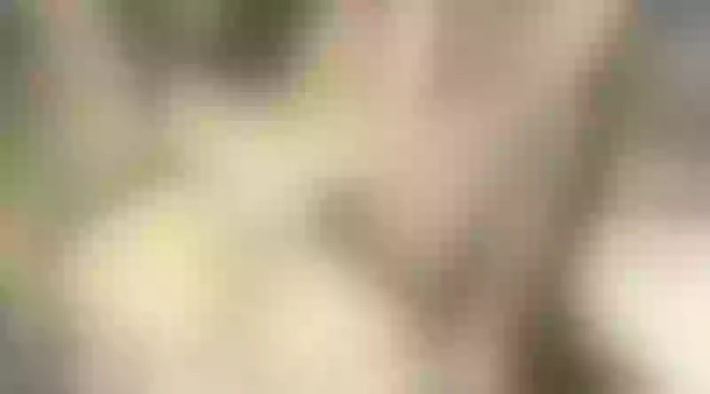 Live sex webcam photo for Claudine #7811940