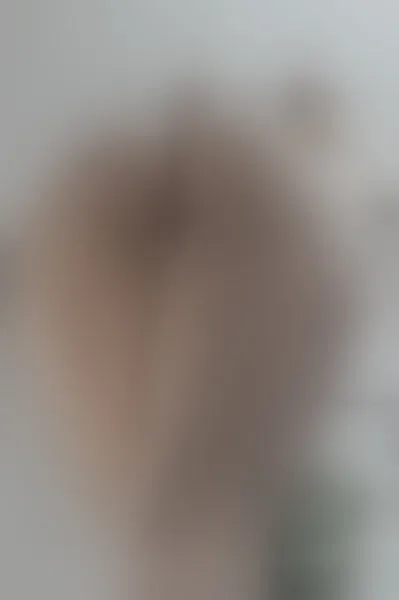 Live sex webcam photo for JuliethCooper #2025727