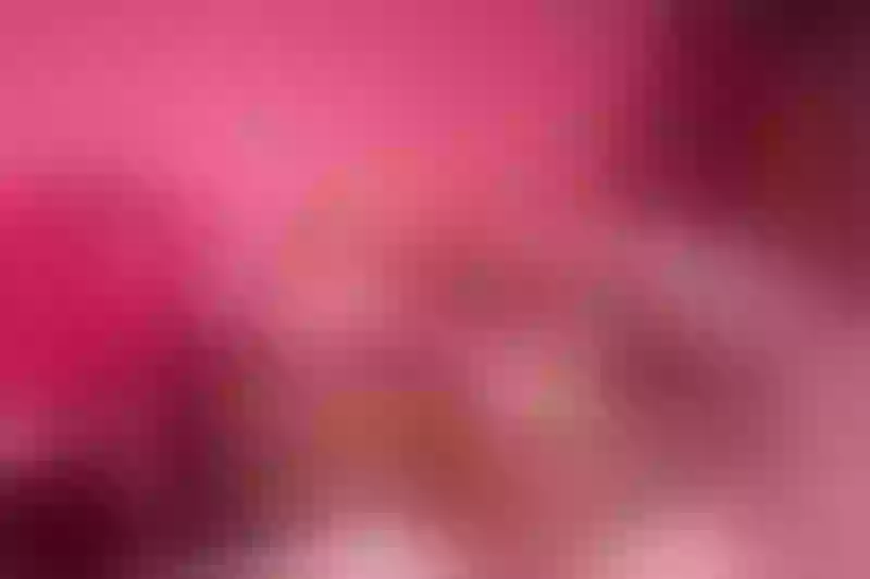 Live sex webcam photo for PeitonKeen #1688310