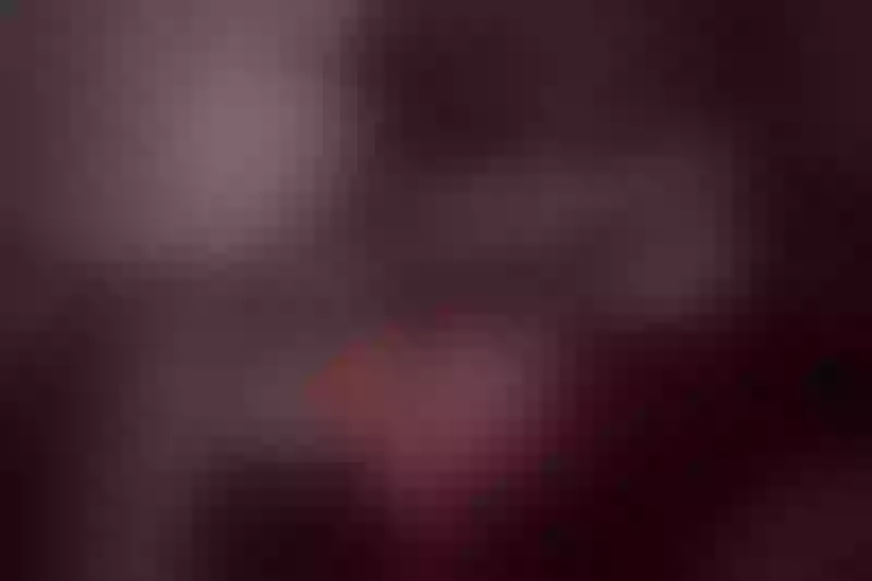 Live sex webcam photo for PeitonKeen #1688464
