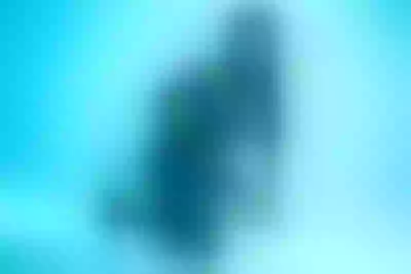 Live sex webcam photo for PeitonKeen #2535736