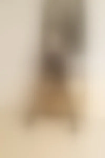 Live sex webcam photo for SashaGreyD #1739086