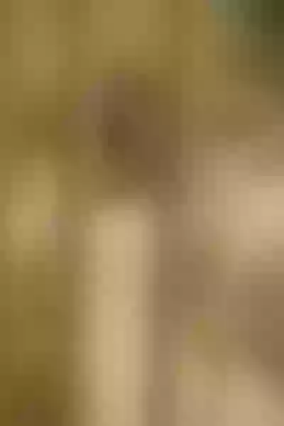 Live sex webcam photo for LaurenWod #7353667