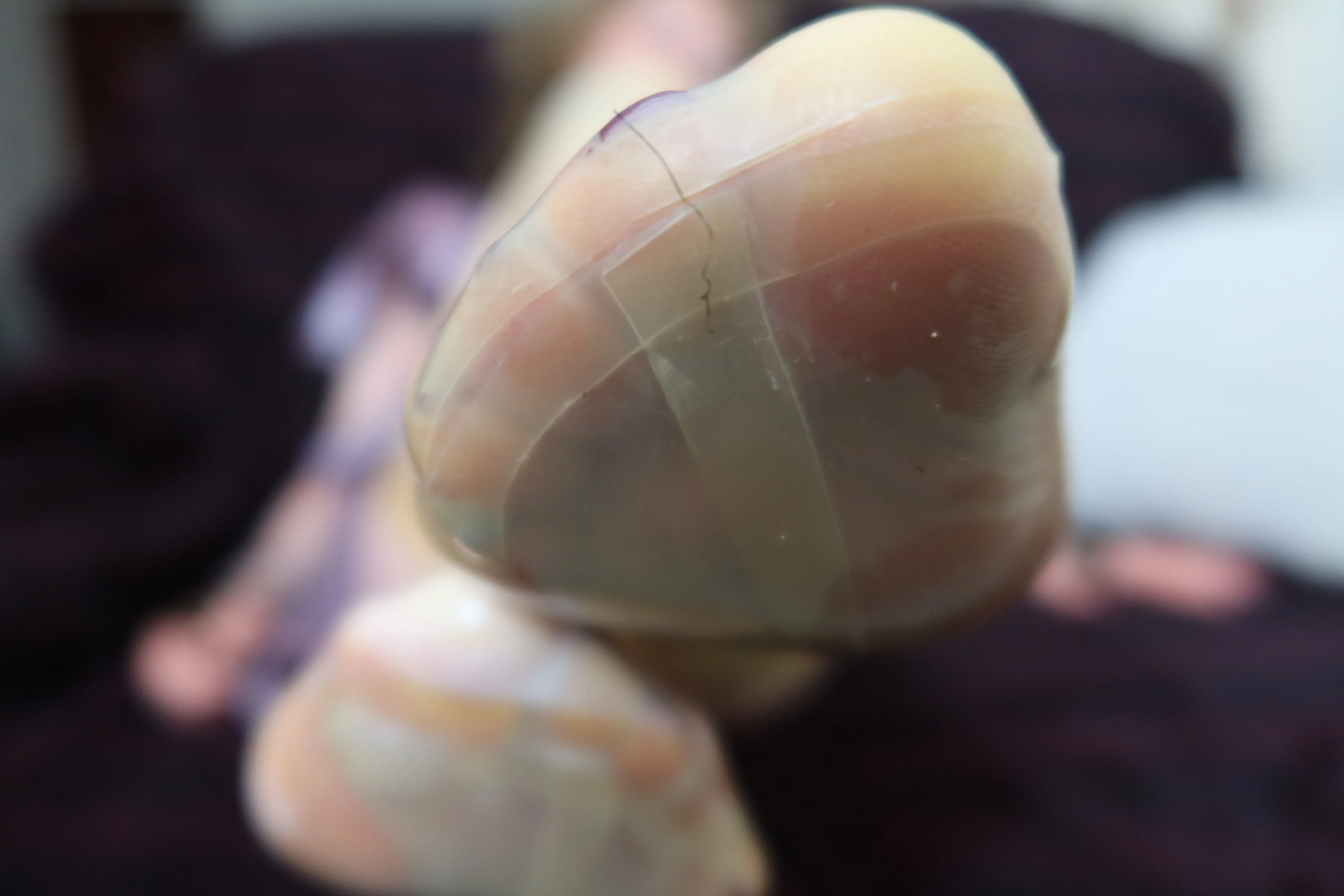 Live sex webcam photo for RuthStrawberryblonde #6231127