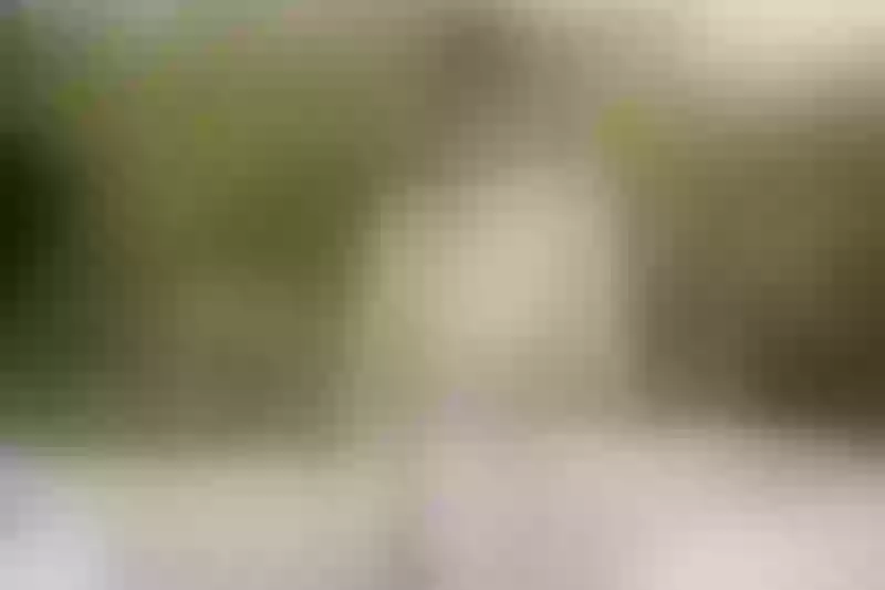 Live sex webcam photo for LisaSspencer #6134680
