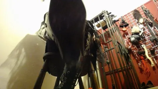 Live sex webcam photo for MistressJulia #7363013