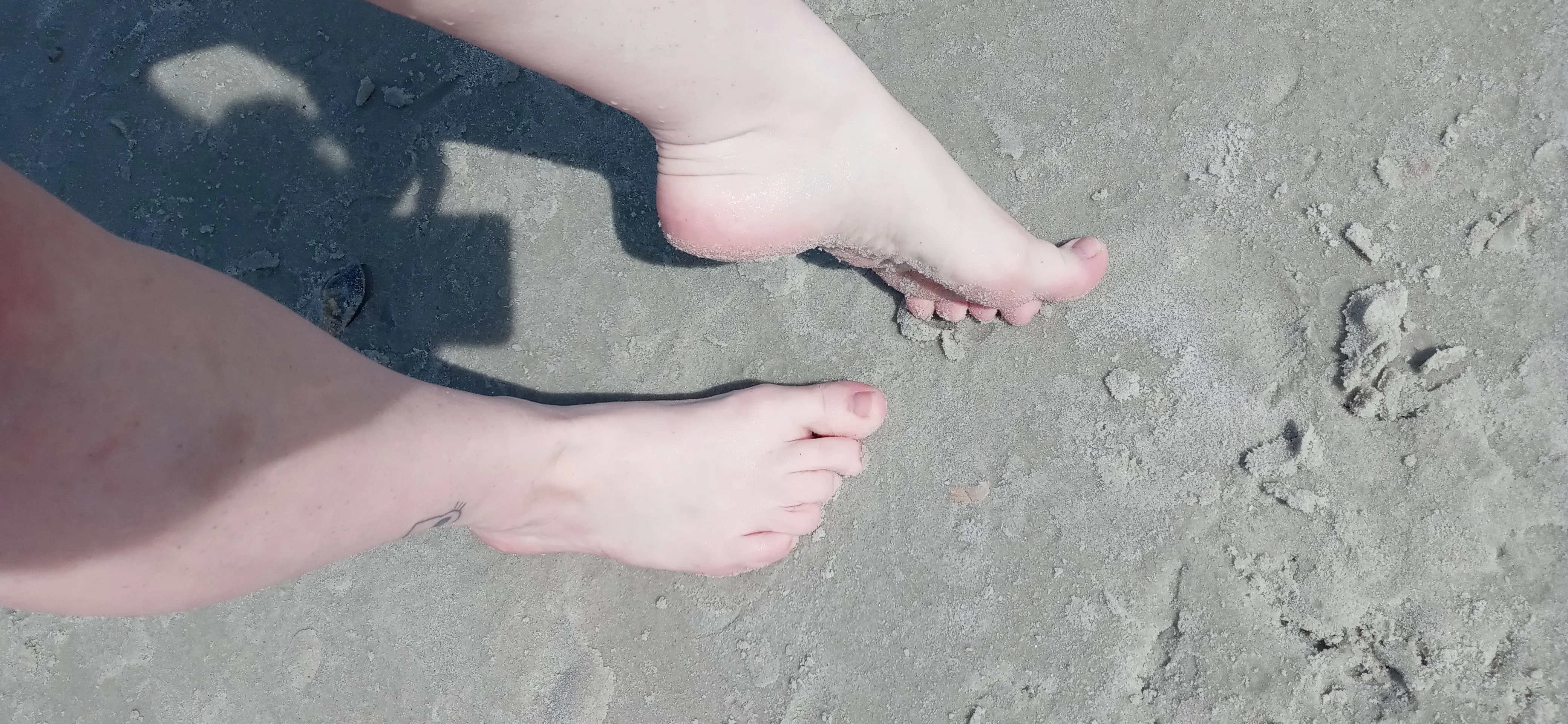 Live sex webcam photo for Amy_Quinn #7808600