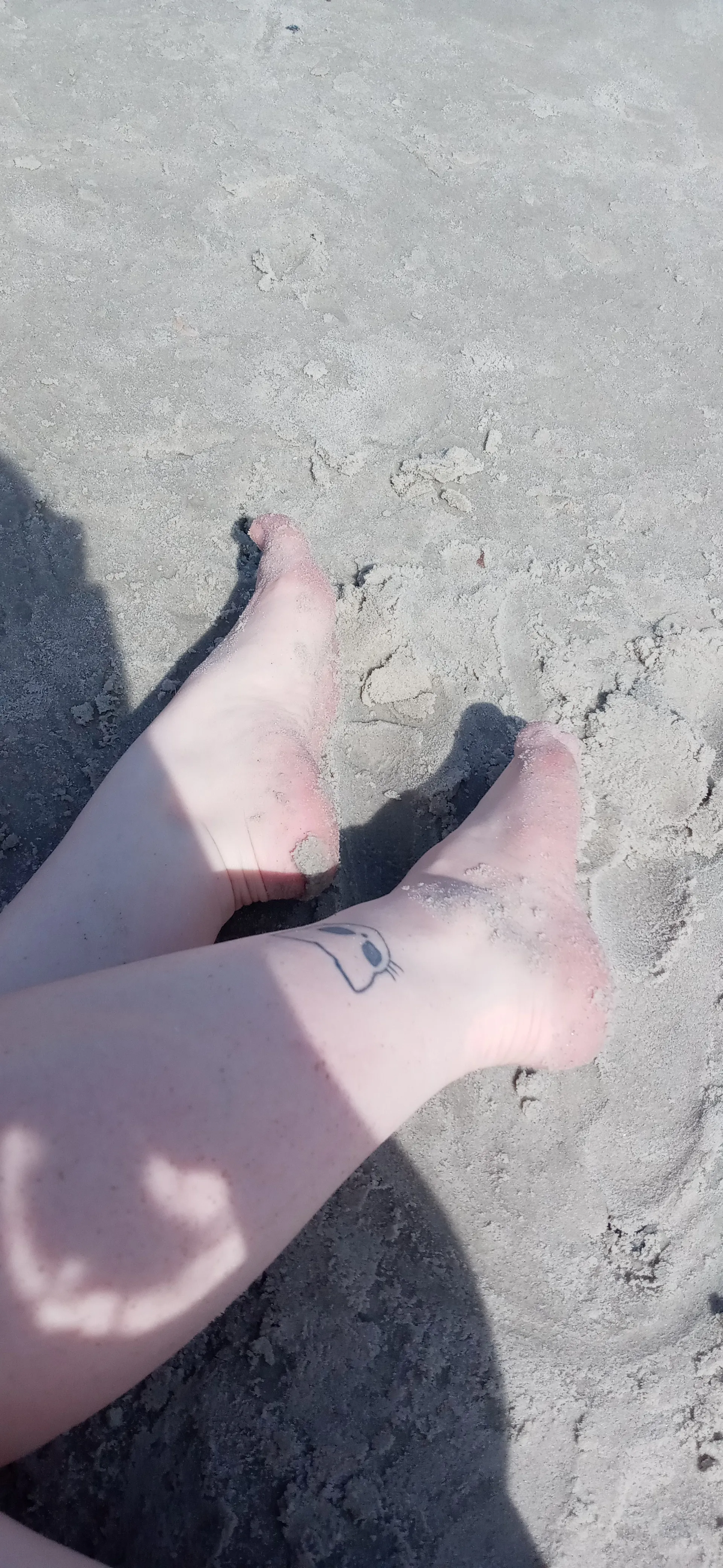 Live sex webcam photo for Amy_Quinn #7808596