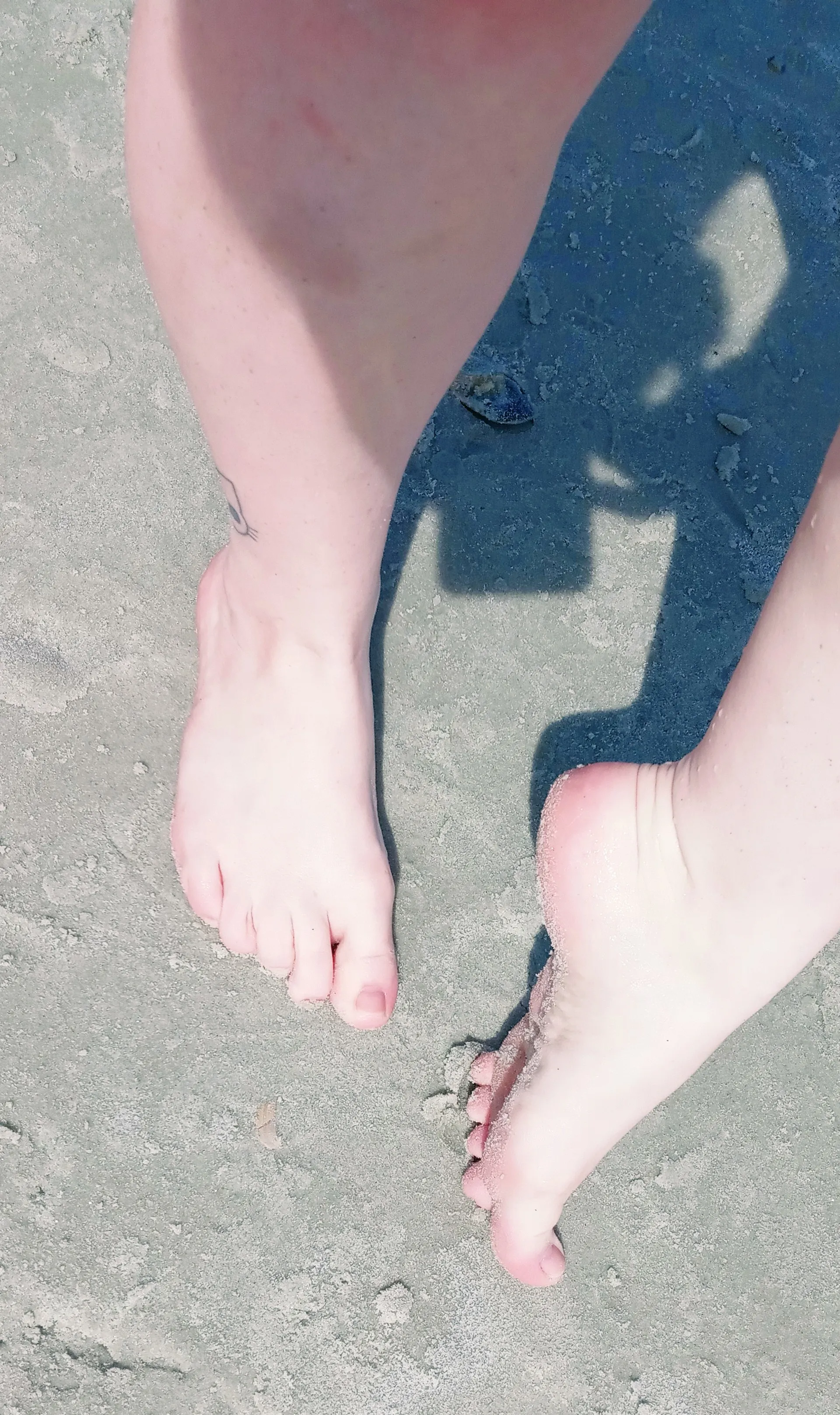 Live sex webcam photo for Amy_Quinn #7808551