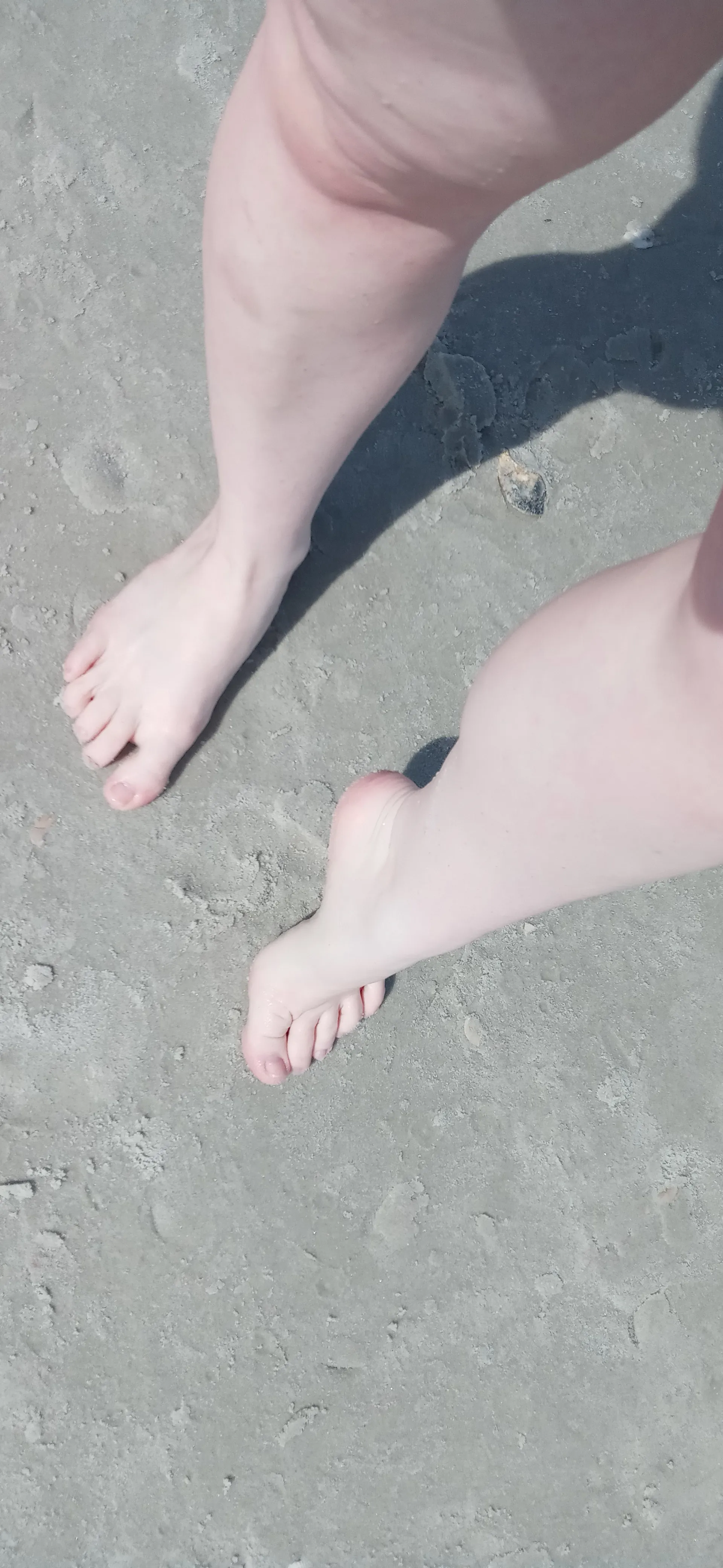 Live sex webcam photo for Amy_Quinn #7808599