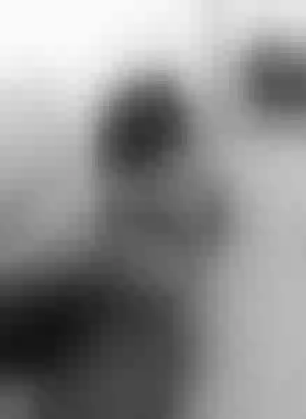 Live sex webcam photo for CaroldelaTorre #2956689