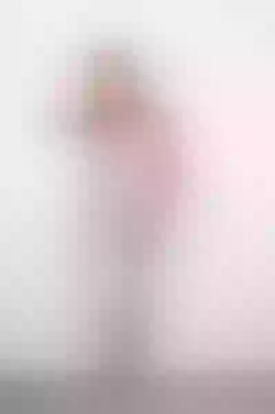 Live sex webcam photo for Eleganteve #7394985
