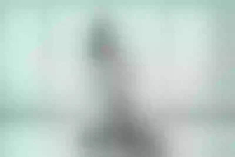 Live sex webcam photo for AriAngell #3513643
