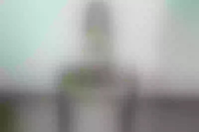 Live sex webcam photo for AriAngell #2822676