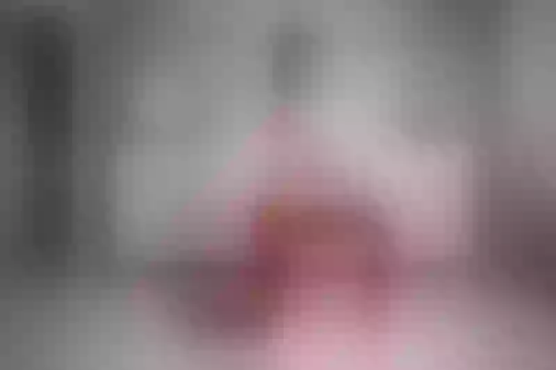 Live sex webcam photo for SandraBlakee #7346340