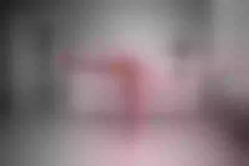 Live sex webcam photo for SandraBlakee #7346338