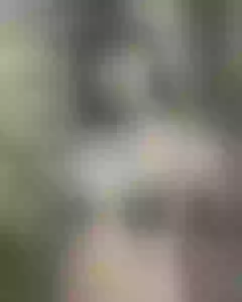Live sex webcam photo for AkiraUsui #2399845