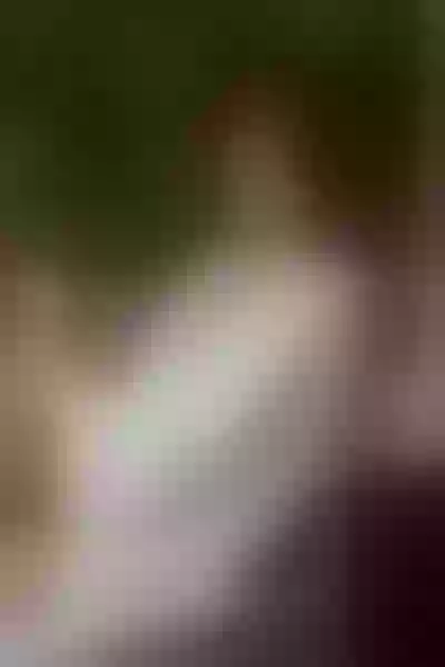 Live sex webcam photo for APRIILGREY #6184785