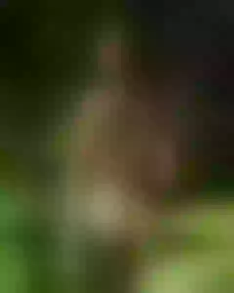 Live sex webcam photo for APRIILGREY #6184757