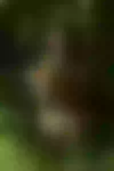 Live sex webcam photo for APRIILGREY #6184766