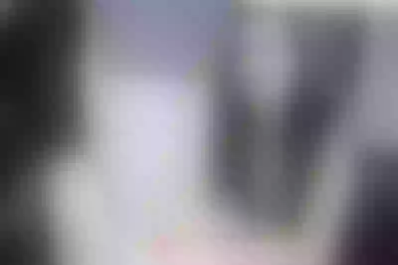 Live sex webcam photo for LindaBrairs #6177453