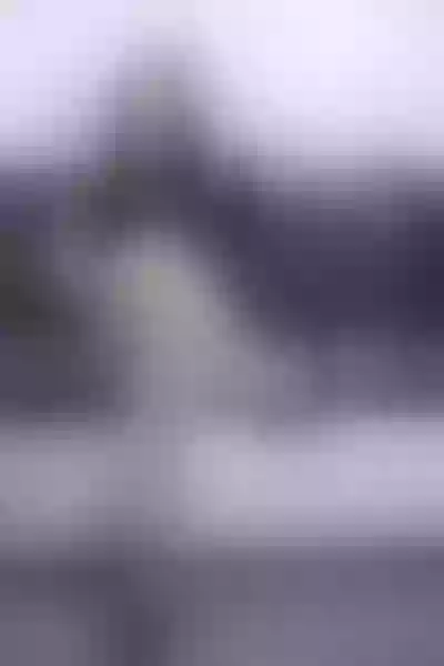 Live sex webcam photo for LindaBrairs #6177446