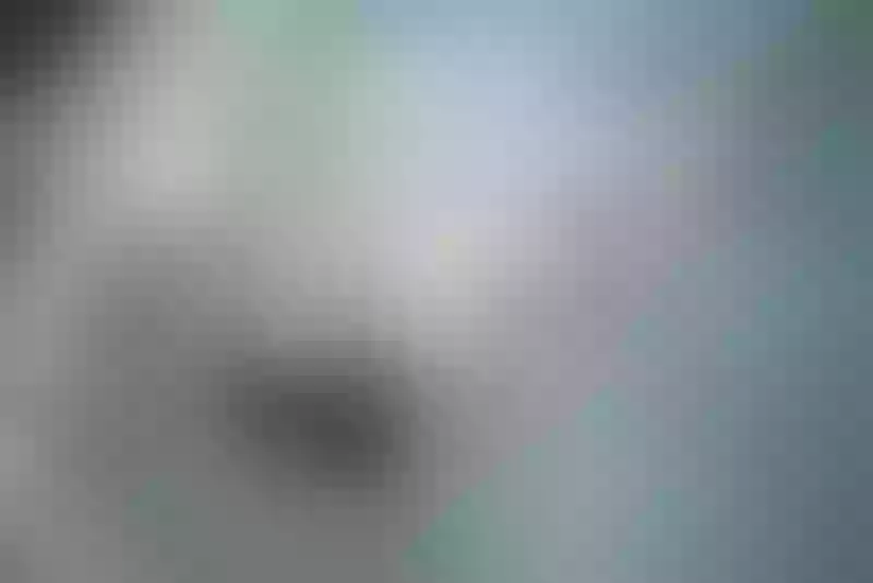 Live sex webcam photo for FoxyPlay #2345581