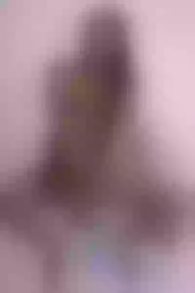Live sex webcam photo for JennyGilmore #2055079