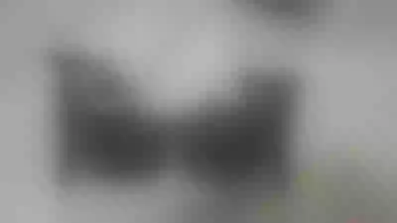 Live sex webcam photo for ZinniaRose #7333621