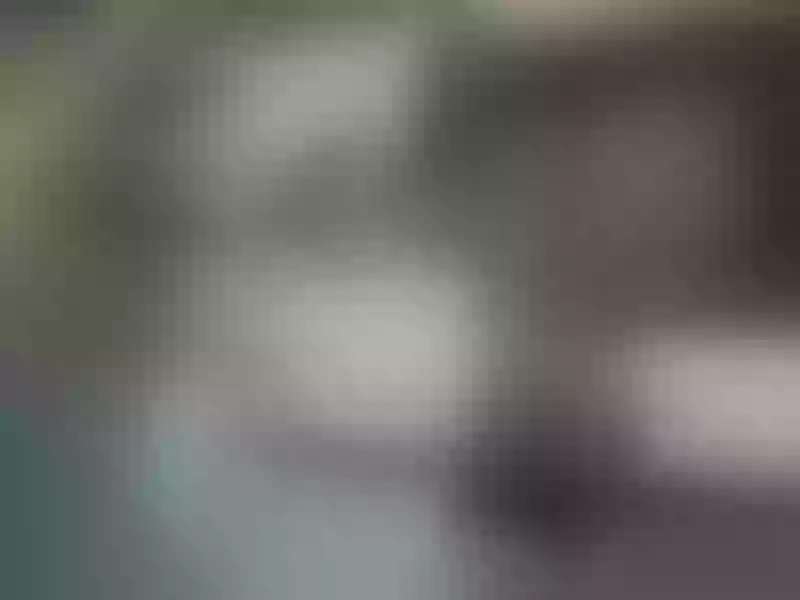 Live sex webcam photo for MissErikaaJ #7796970