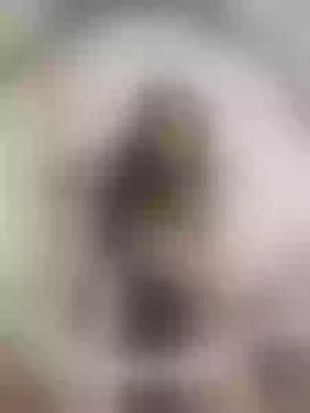 Live sex webcam photo for MissErikaaJ #7796868