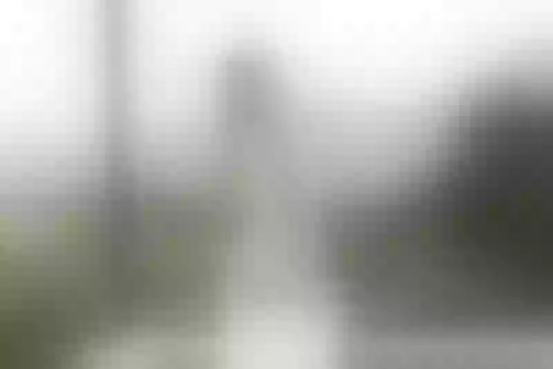 Live sex webcam photo for AdyOneil #6705231