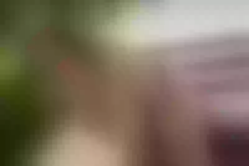 Live sex webcam photo for KandiKoors #5899418