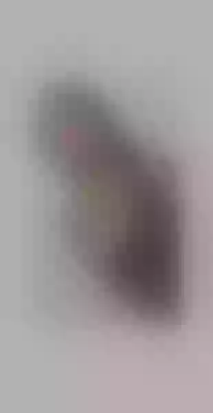 Live sex webcam photo for ChristieWilde #7848272