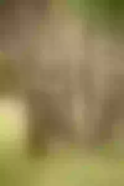 Live sex webcam photo for MeyzNoah #2162075